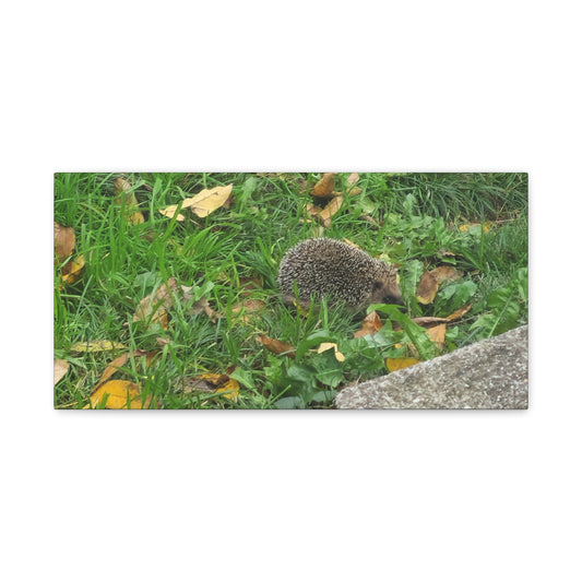 Swiss Hedgehog Wall Art Print | 12" x 9" Horizontal Dimensions